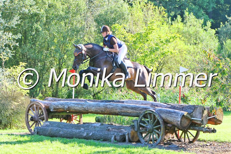 109M7988__.jpg - Ansbacher Weekend am 04.09.2011Foto von Monika Limmerwww.foto-limmer.de, Mobil 0177 -250 60 75