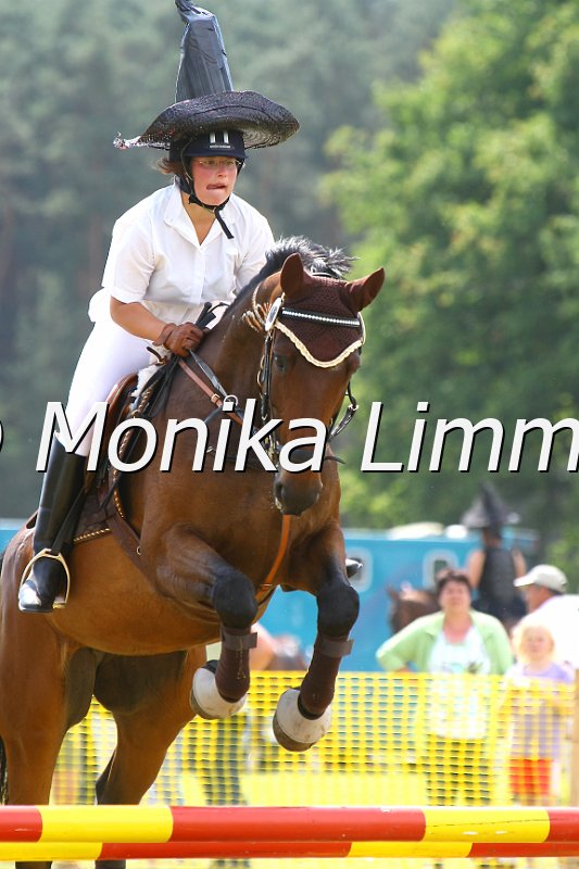 105M9496.JPG - Turnier Ebersbach am 04.-05. Juni 2011Foto von Monika Limmerwww.foto-limmer.de