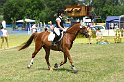 105M8813_Dujardin_Spring_Reiter_WB
