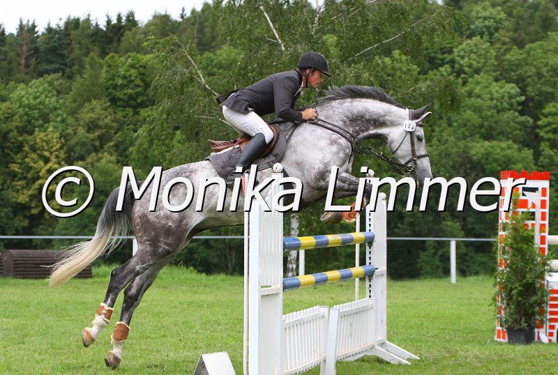 097M0571_Snasnu_CD.JPG - Turnier Hof Haidt am 12.07.09Foto von Monika Limmerwww.foto-limmer.de