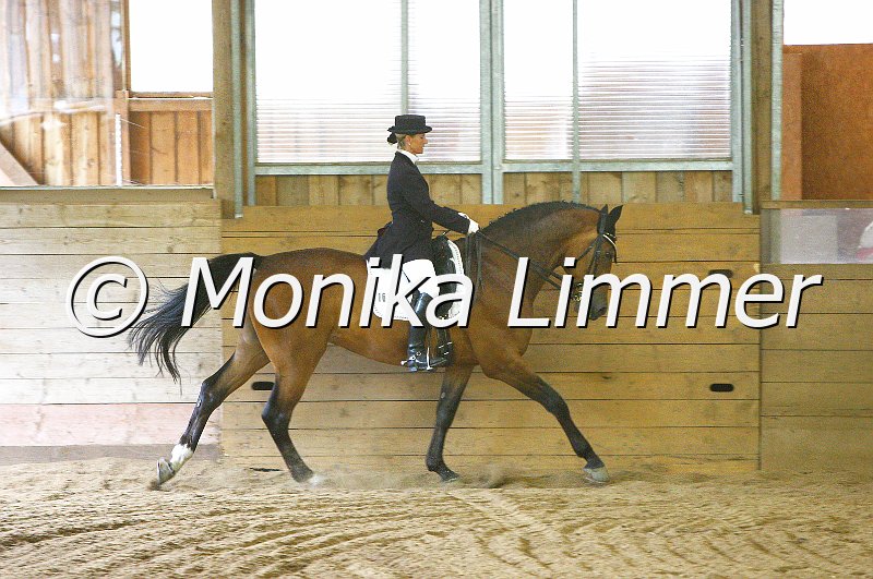 007M9541_Dressur_M_e.JPG