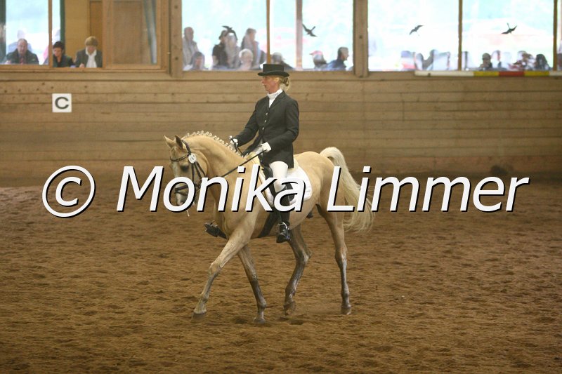 007L7736_Ichor_Dressur_A.JPG