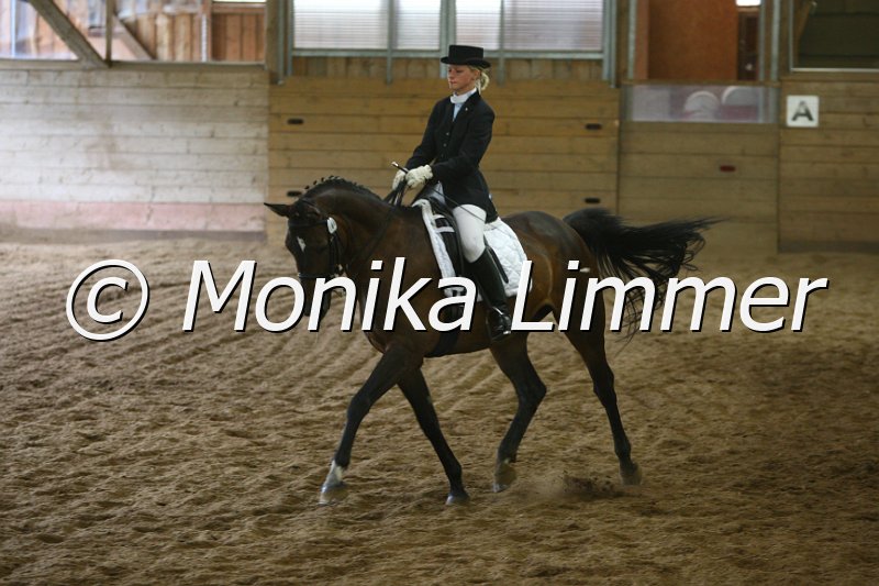 007M9548_Dressur_M.JPG