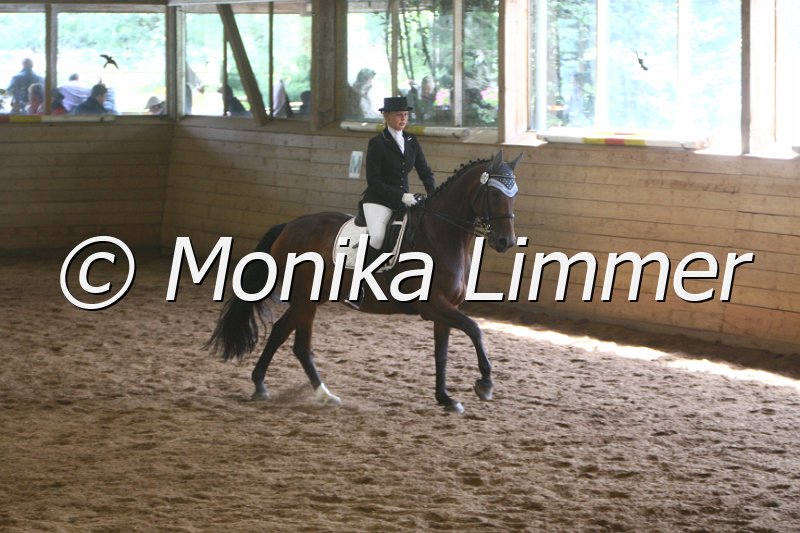 007M9461_Dressur_L.JPG