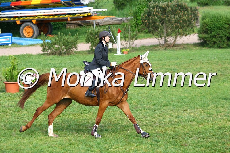 105M1528_Stil_A.JPG - Turnier Sonnefeld - Frankenhof am 20.05.-22.05.2011Heger Shantana Foto von Monika Limmer, www.foto-limmer.de