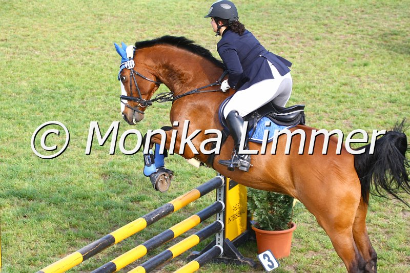 105M1594.JPG - Turnier Sonnefeld Frankenhof 2011Foto von Monika Limmerwww.foto-limmer.de