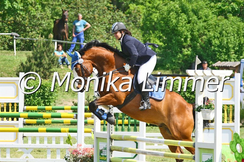 105M1949_Stil_WB_E.JPG - Turnier Sonnefeld Frankenhof 2011Foto von Monika Limmerwww.foto-limmer.de