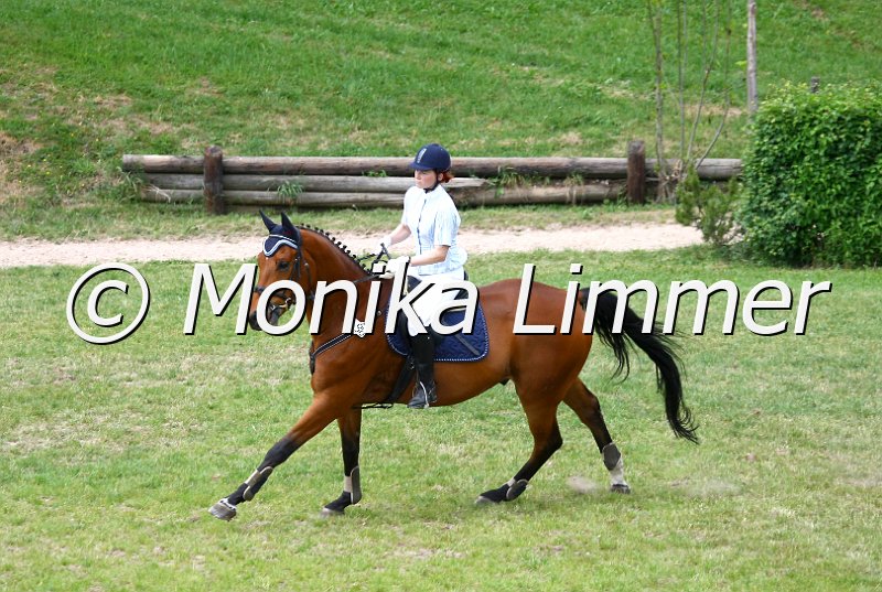 105M0797_Desperado_Spring_A.JPG - Turnier Sonnfeld Frankenhof Mai 2011Foto von Monika Limmer, Kulmbachwww.foto-limmer.de