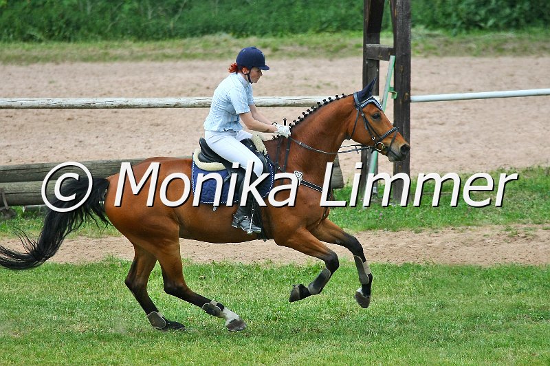 105M0803.JPG - Turnier Sonnfeld Frankenhof Mai 2011Foto von Monika Limmer, Kulmbachwww.foto-limmer.de