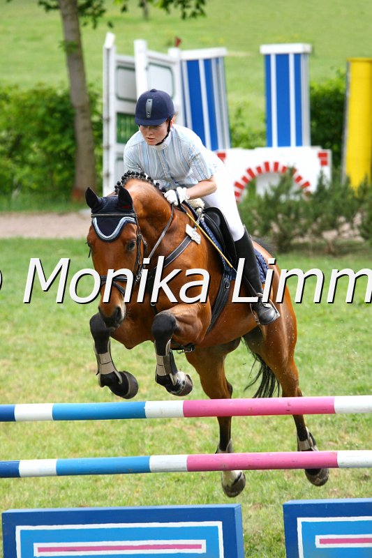 105M1013_Desperado_Stil_A.JPG - Turnier Sonnfeld Frankenhof Mai 2011Foto von Monika Limmer, Kulmbachwww.foto-limmer.de