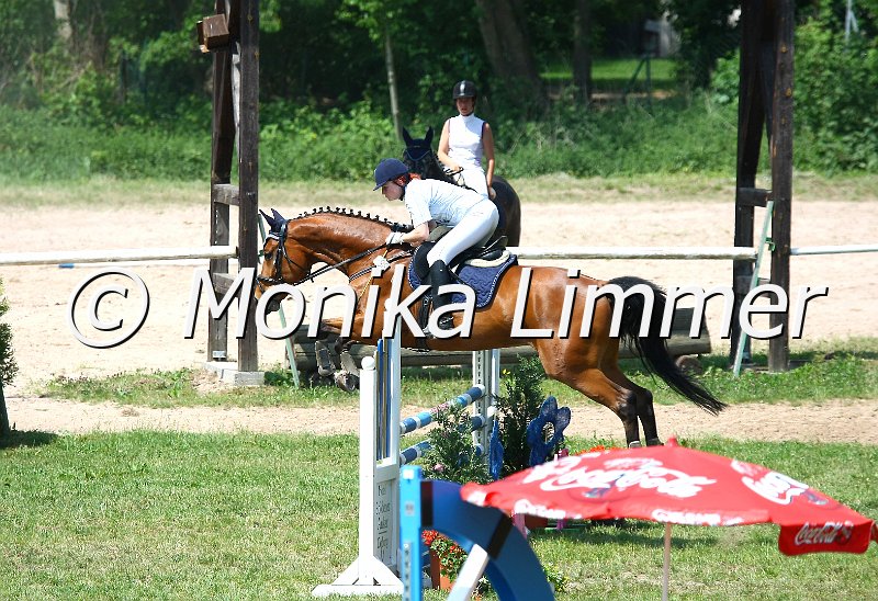 105M2247_Desperado_Spring_L.JPG - Turnier Sonnfeld Frankenhof Mai 2011Foto von Monika Limmer, Kulmbachwww.foto-limmer.de