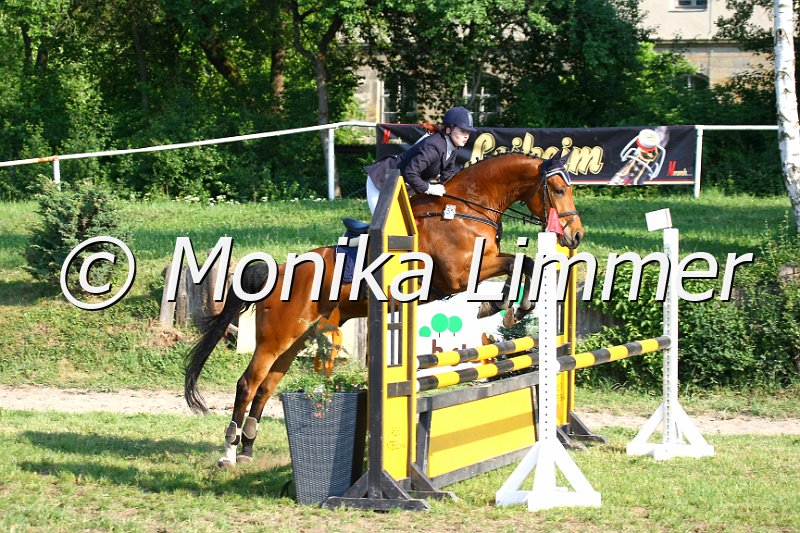 105M3162.JPG - Turnier Sonnfeld Frankenhof Mai 2011Foto von Monika Limmer, Kulmbachwww.foto-limmer.de