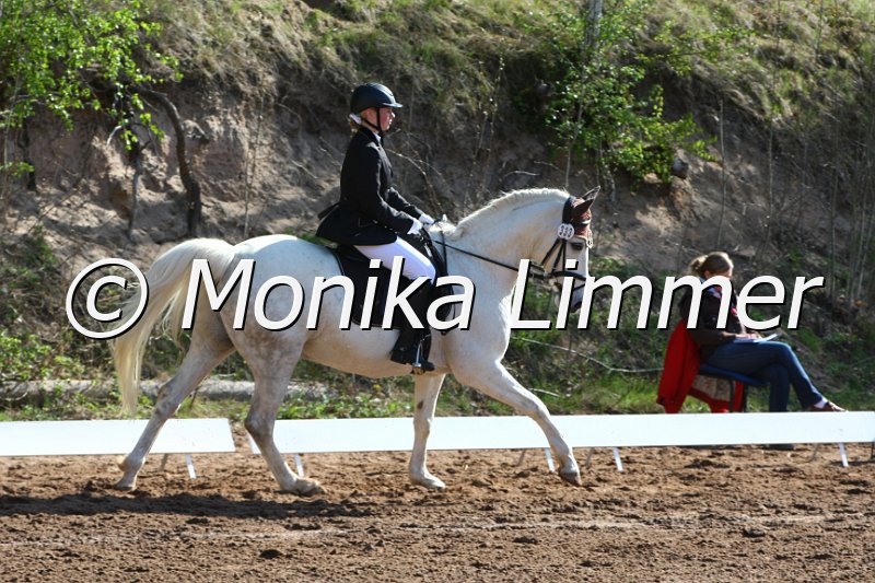 204M7662_Melano_Dressur_E.JPG