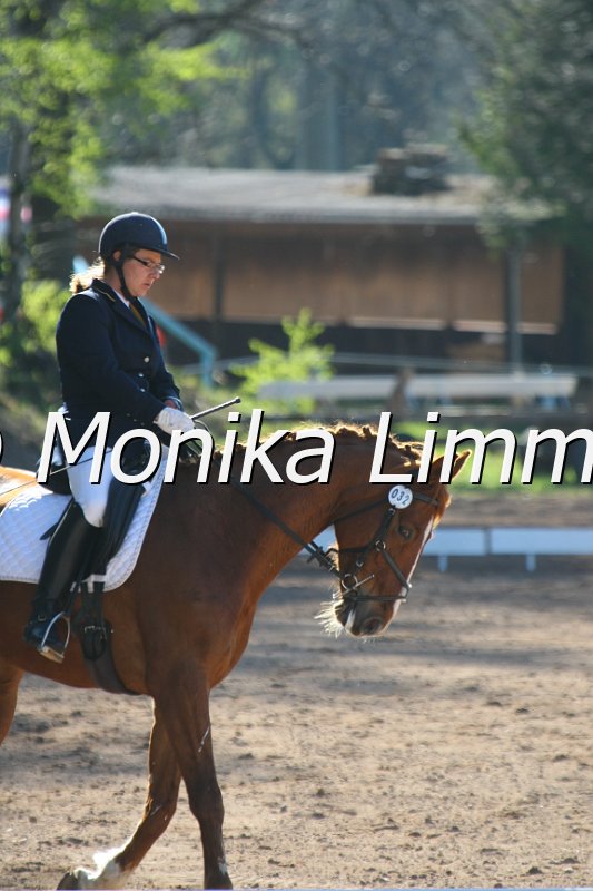203M6266_Brana_Dressur_A.JPG