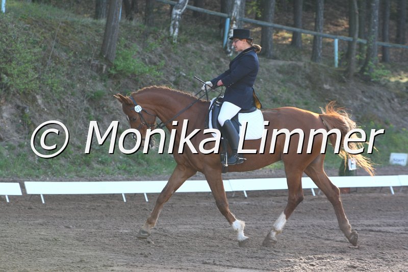 204M7335_Brana_Dressur_L.JPG