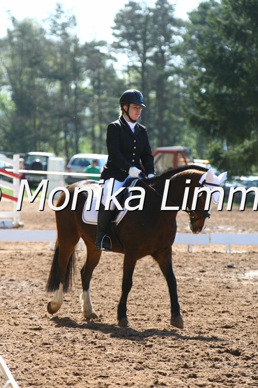 204M7958_Henning_Dressur_E.JPG