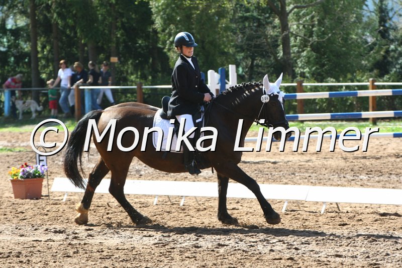 204M7866_Anne_Dressur_E.JPG