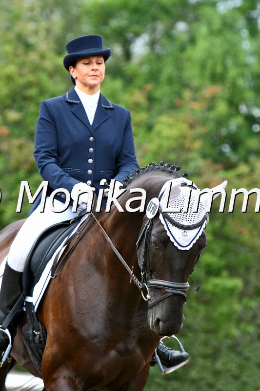 109M2064_Highlith_Dresspferde_A_CD.JPG - Turnier Wernstein Sept. 2011Foto von Monika Limmer, www.foto-limmer.deRosenkrantzstr. 8, 95326 Kulmbach; Tel. 0177 -250 60 75