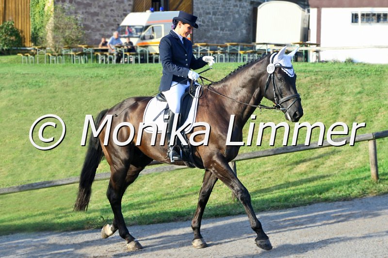 109M5155_CD.JPG - Turnier Wernstein Sept. 2011Foto von Monika Limmer, www.foto-limmer.deRosenkrantzstr. 8, 95326 Kulmbach; Tel. 0177 -250 60 75