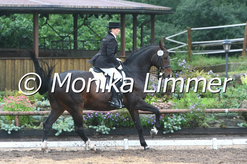 109M3155_Amor_Dressur_M.JPG