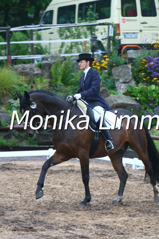 109M3016_Rio_Dressur_M_evtl.JPG